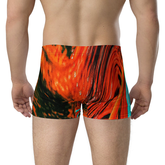 all-over-print-boxer-briefs-white-back-6777df4799b8a.jpg