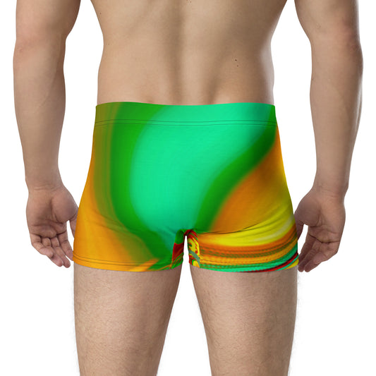 all-over-print-boxer-briefs-white-back-6777e1339f2f7.jpg