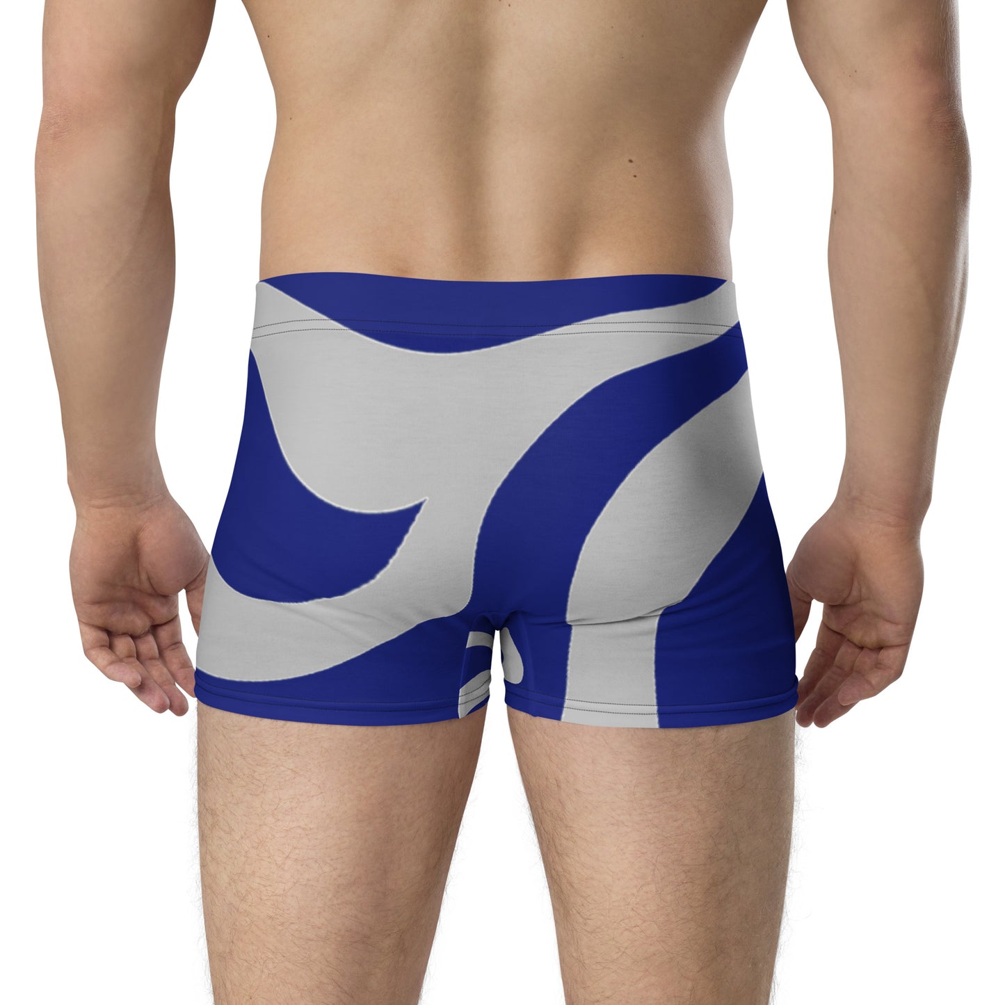 all-over-print-boxer-briefs-white-back-67794e2a3188d.jpg