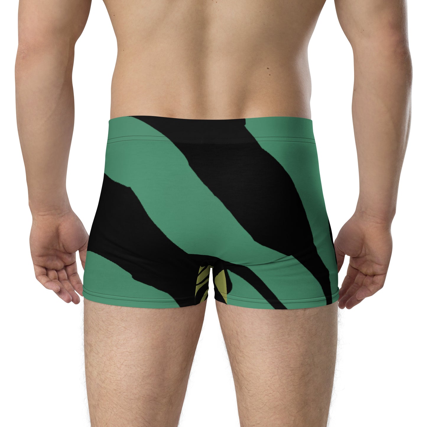 all-over-print-boxer-briefs-white-back-67866c06e6614.jpg
