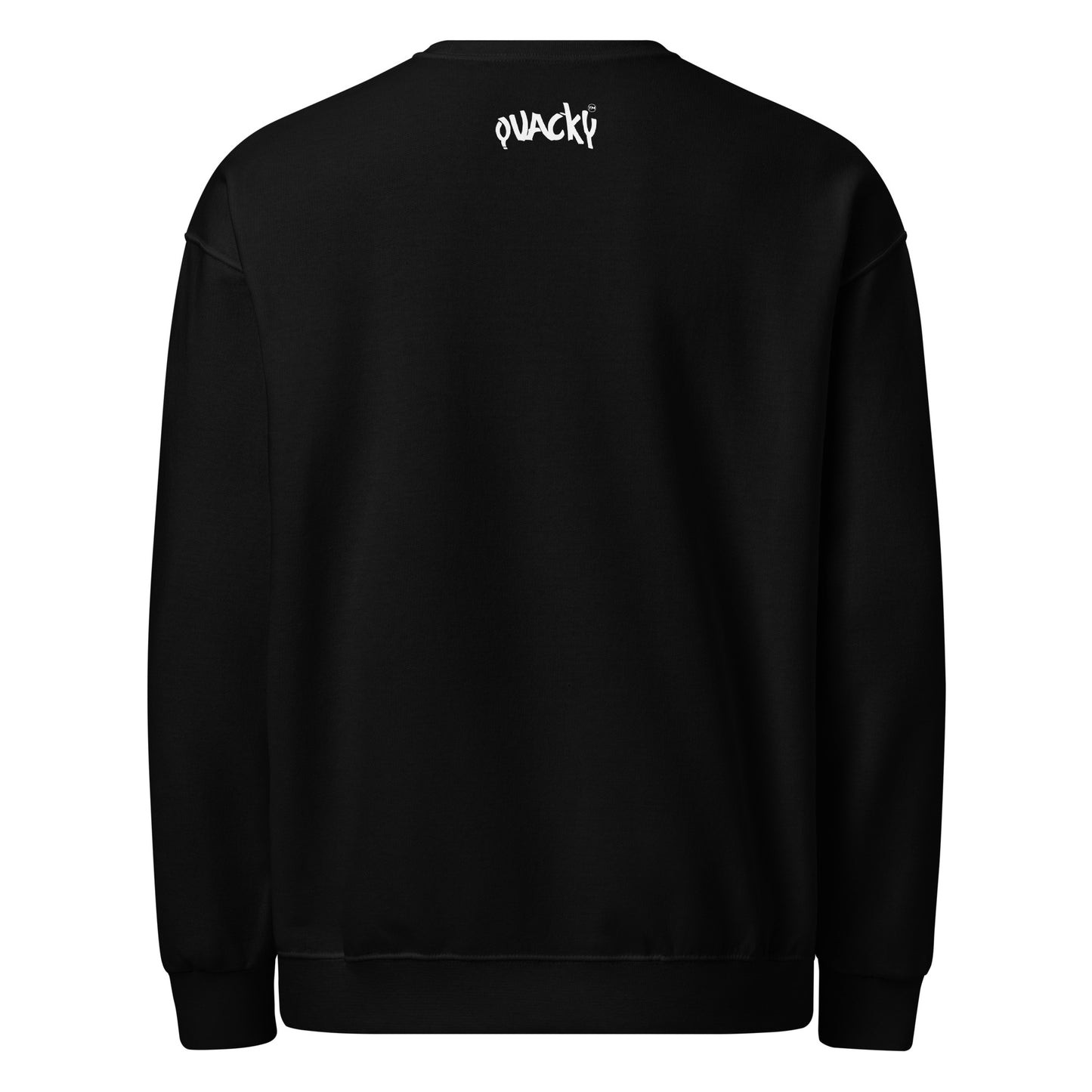 classic-unisex-crew-neck-sweatshirt-black-back-67812b884fca7.jpg