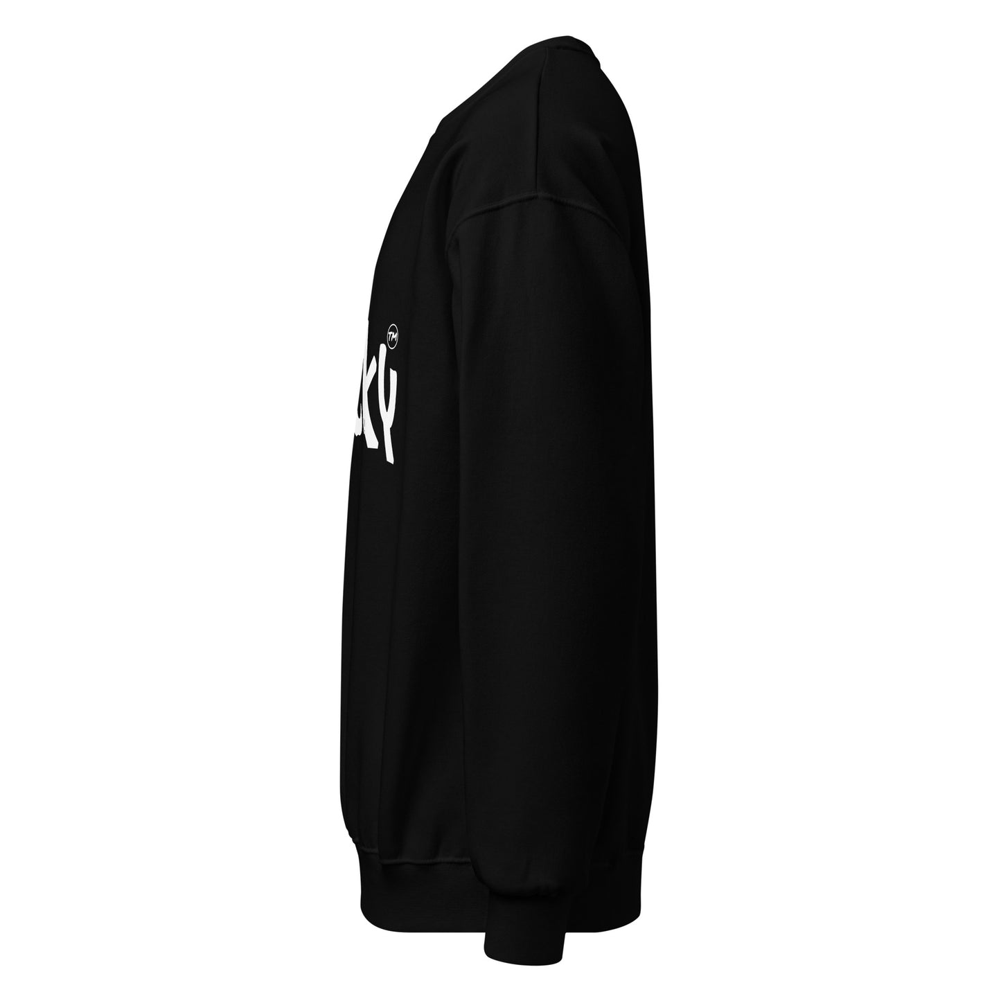 classic-unisex-crew-neck-sweatshirt-black-left-67812b8850455.jpg