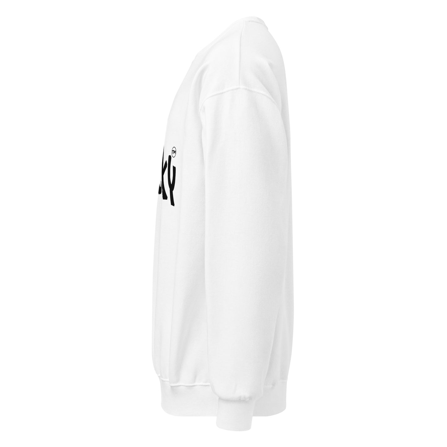 classic-unisex-crew-neck-sweatshirt-white-left-67812afb6de63.jpg