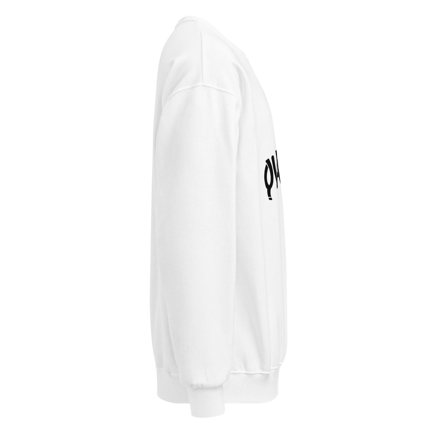 classic-unisex-crew-neck-sweatshirt-white-right-67812afb6db8f.jpg