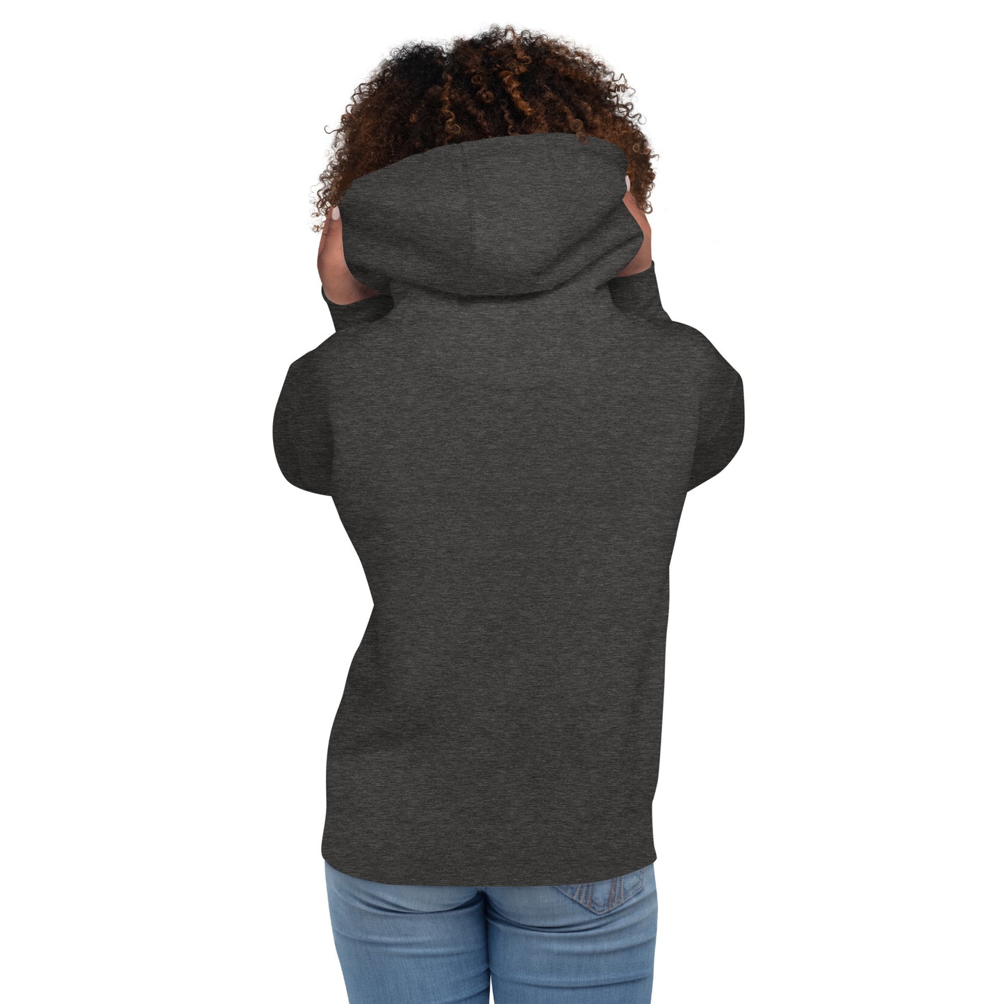 unisex-premium-hoodie-charcoal-heather-back-676a6aa1b1e28.jpg