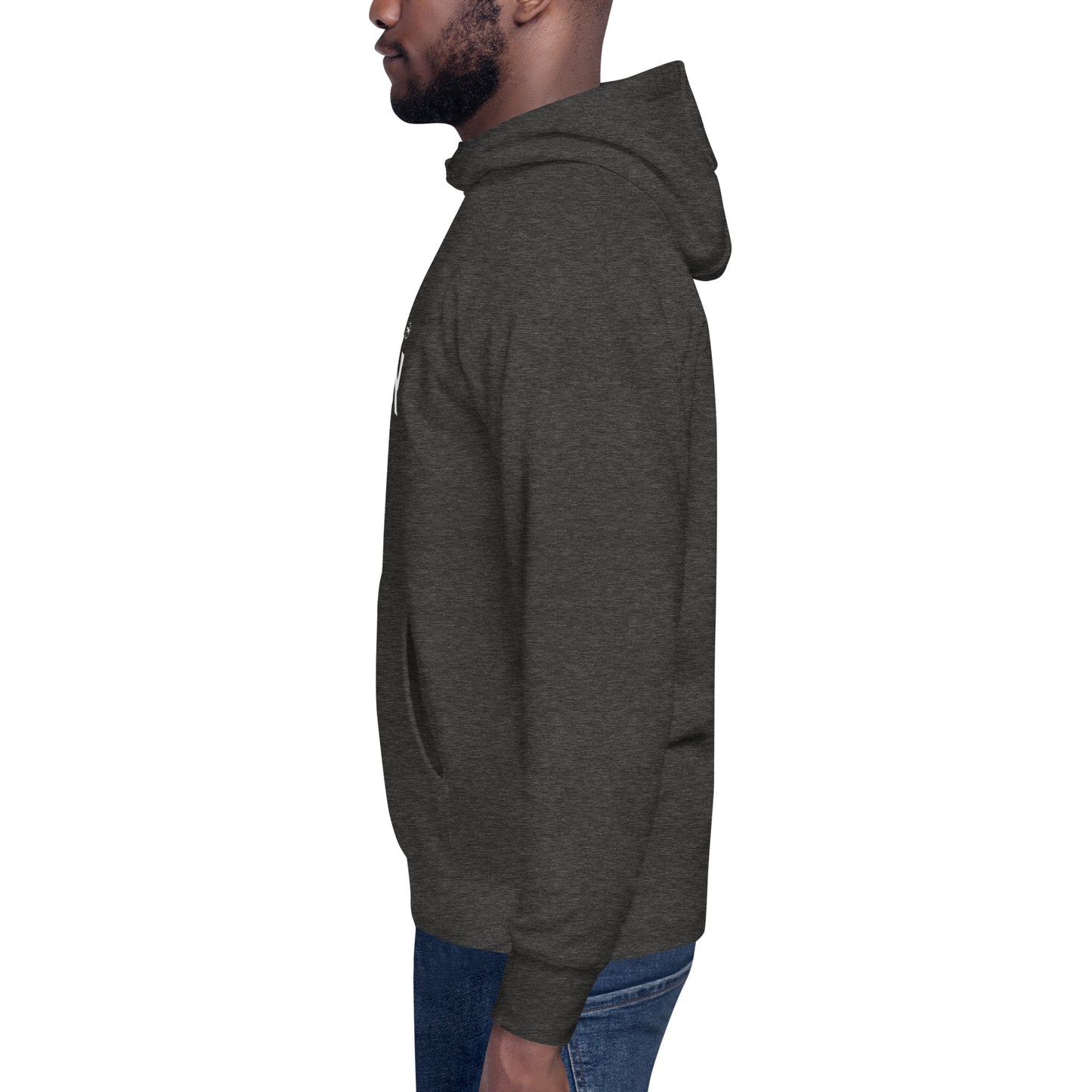 unisex-premium-hoodie-charcoal-heather-left-676a64167c700.jpg