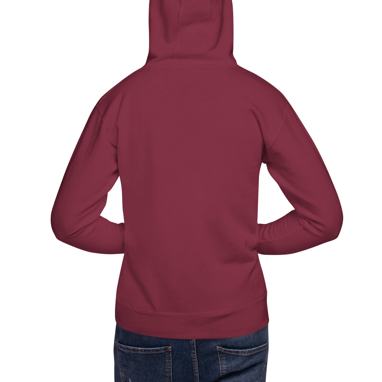 unisex-premium-hoodie-maroon-back-676a641664fc7.jpg
