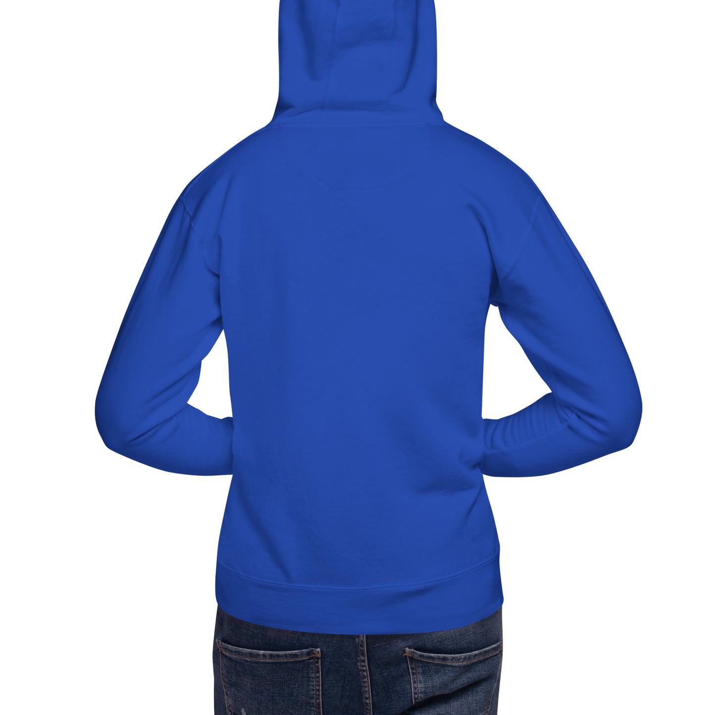 unisex-premium-hoodie-team-royal-back-676a6416bf237.jpg