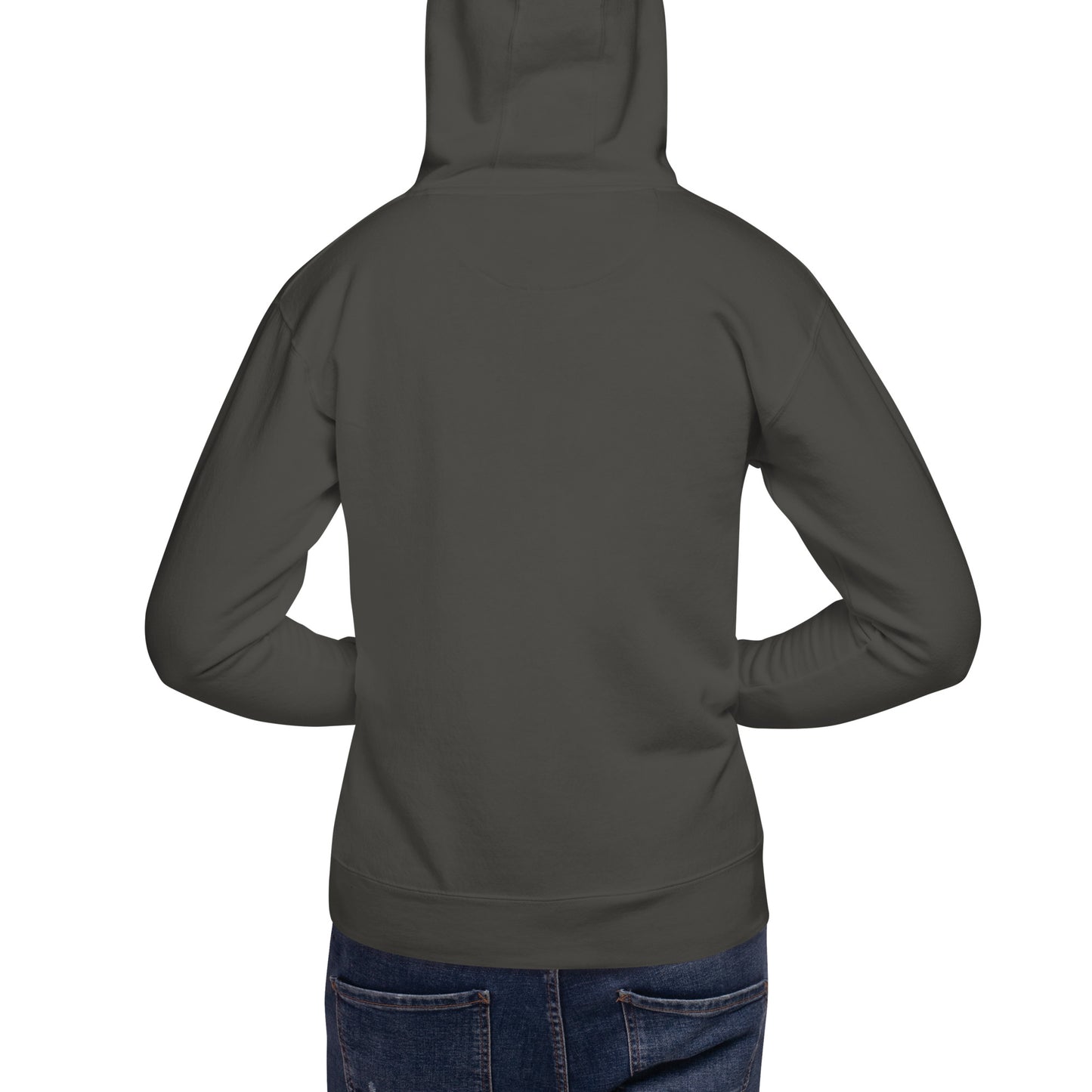 unisex-premium-hoodie-vintage-black-back-676a641693c9f.jpg