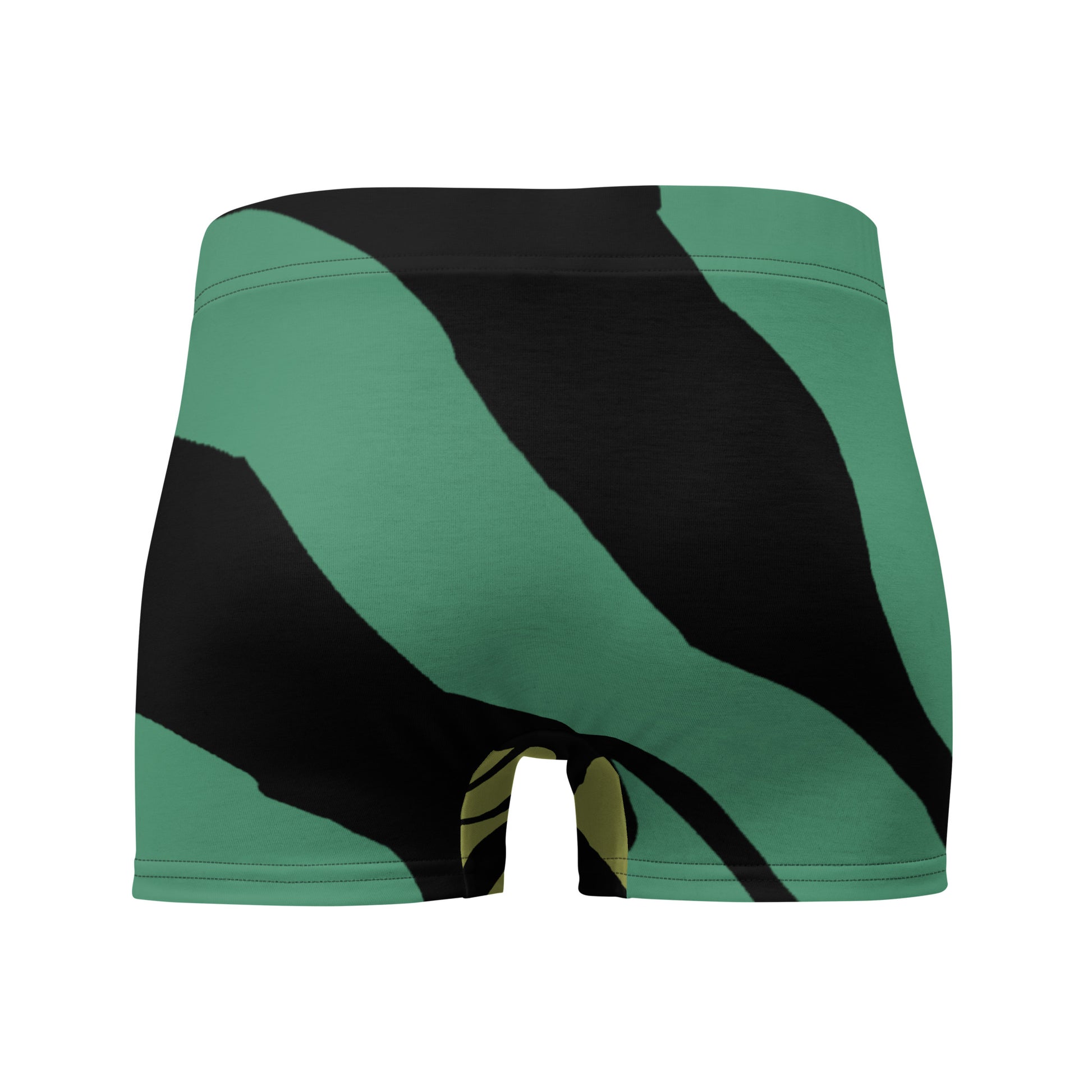 all-over-print-boxer-briefs-white-back-67866c06e620d.jpg