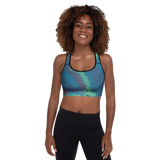 all-over-print-padded-sports-bra-black-front-68219fd61e803.jpg