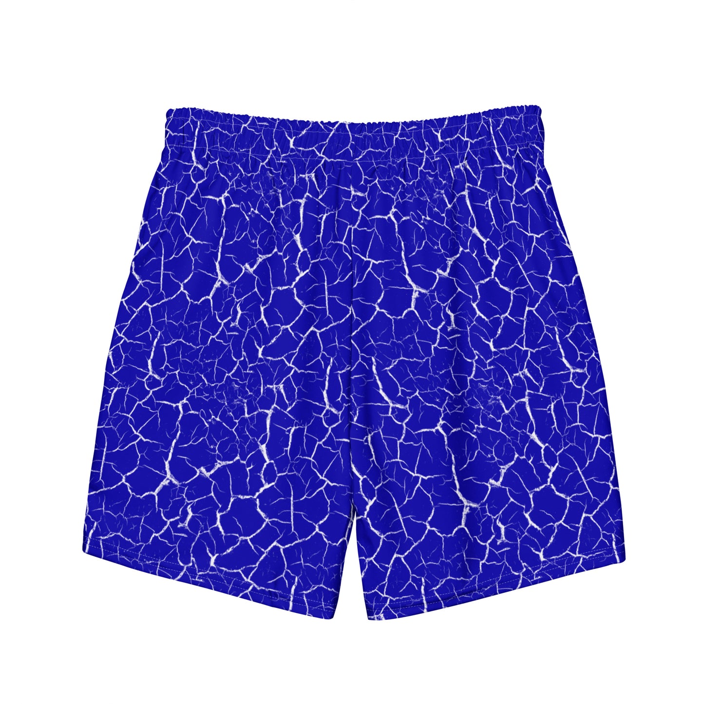 Swim Trunks  551CF