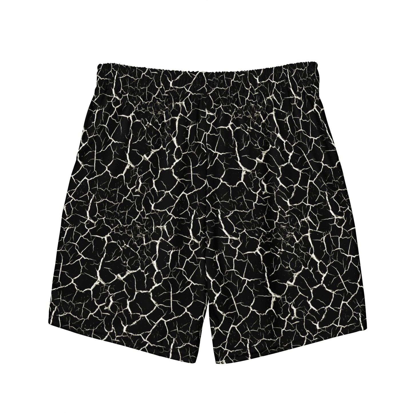 Swim Trunks  551F