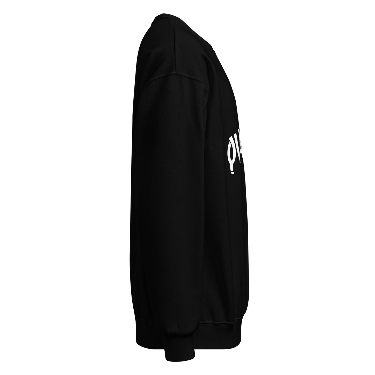 classic-unisex-crew-neck-sweatshirt-black-right-67812b8850805.jpg