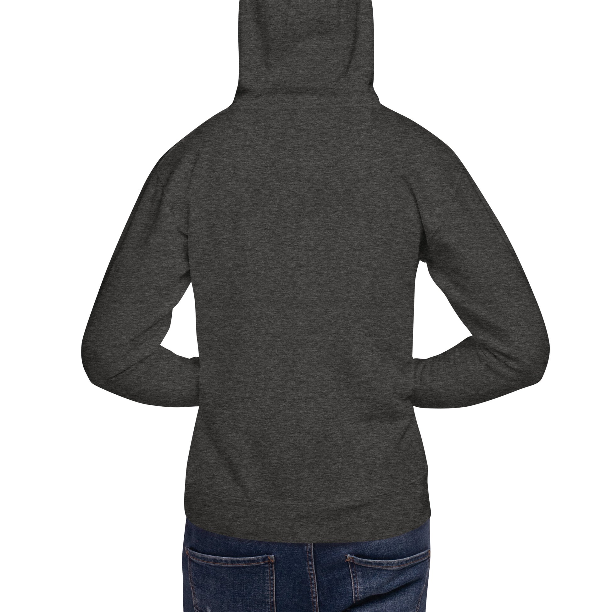 unisex-premium-hoodie-charcoal-heather-back-676a641677ff4.jpg