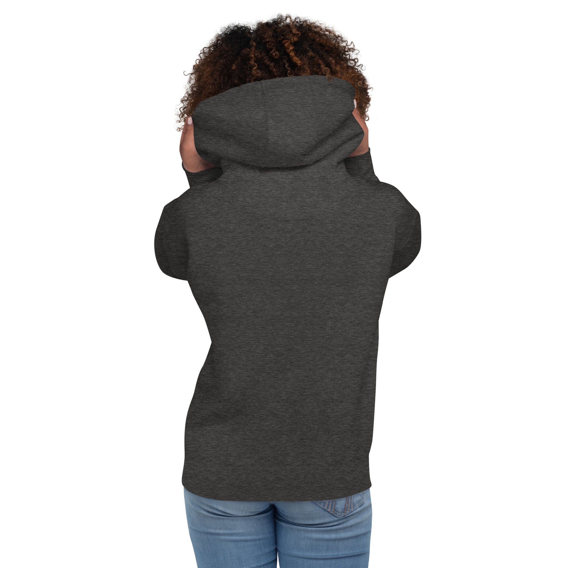unisex-premium-hoodie-charcoal-heather-back-676a6aa1b1e28.jpg