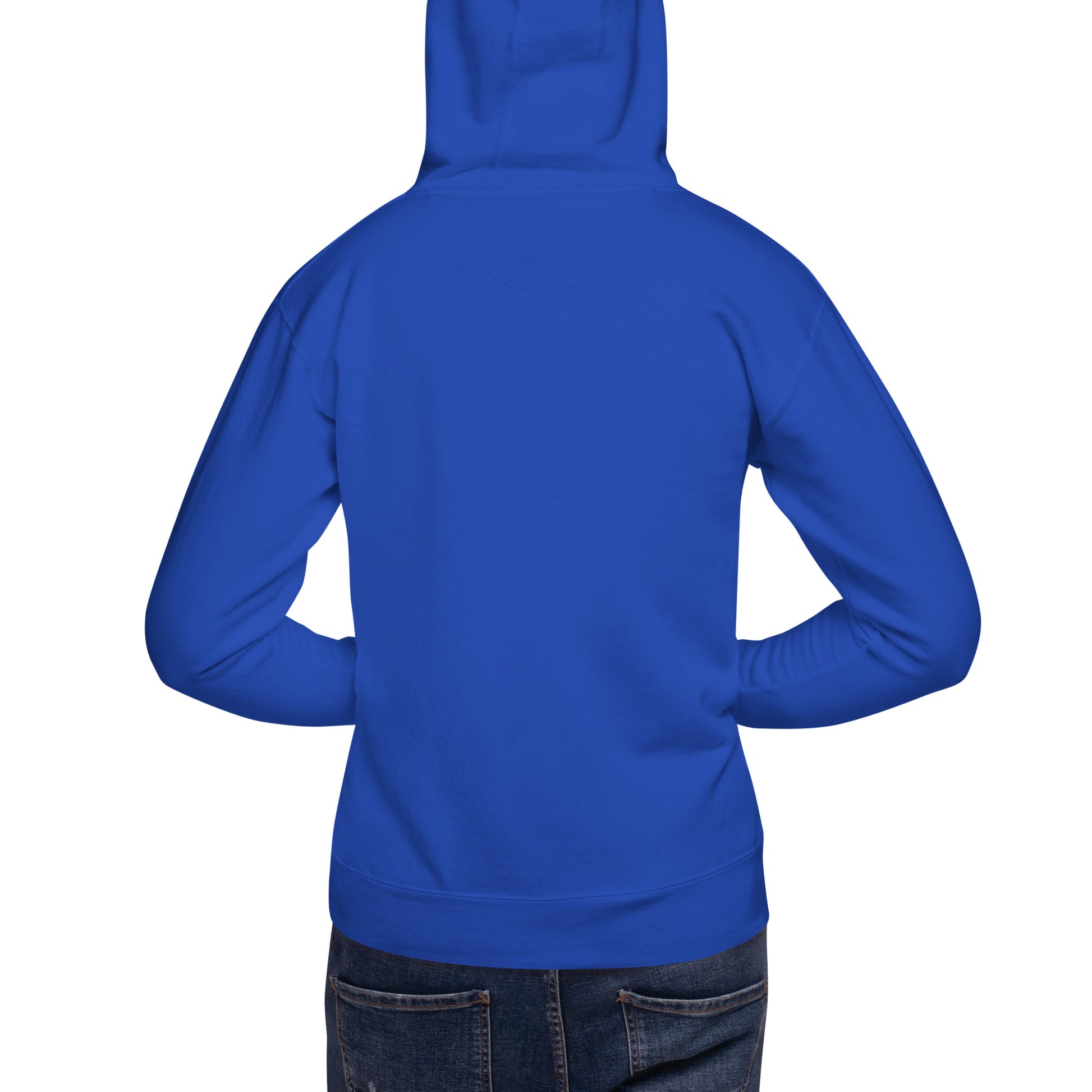 unisex-premium-hoodie-team-royal-back-676a6416bf237.jpg